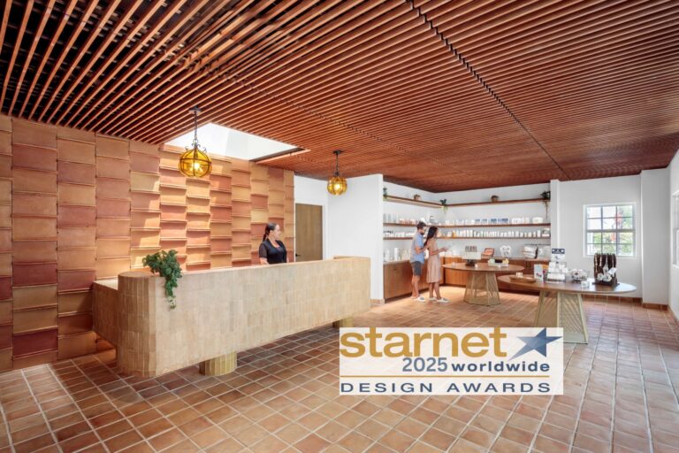 2025 Starnet grand prize winning project